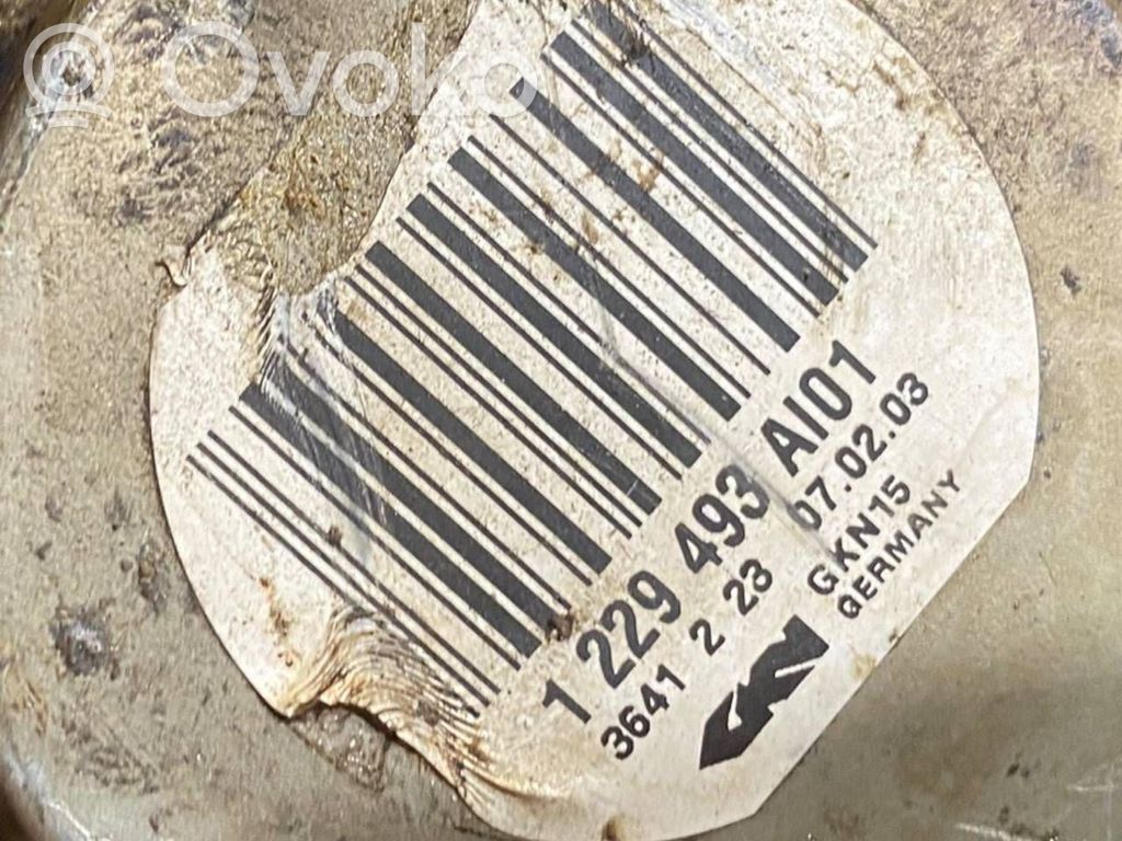 Aizmugurējā pusass