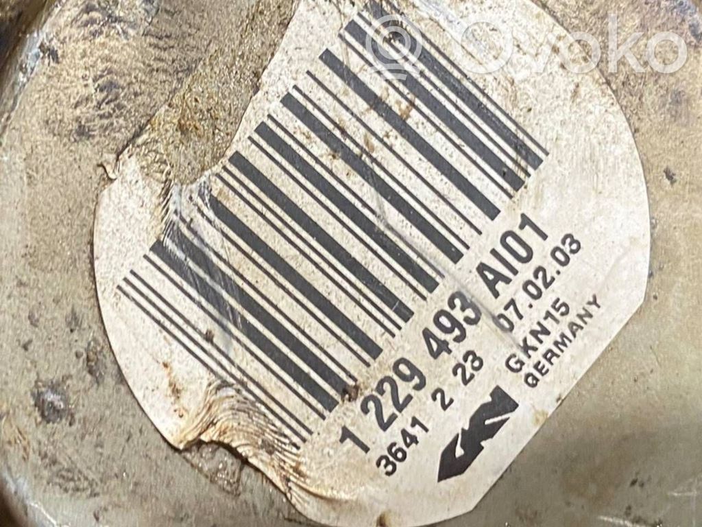 Aizmugurējā pusass