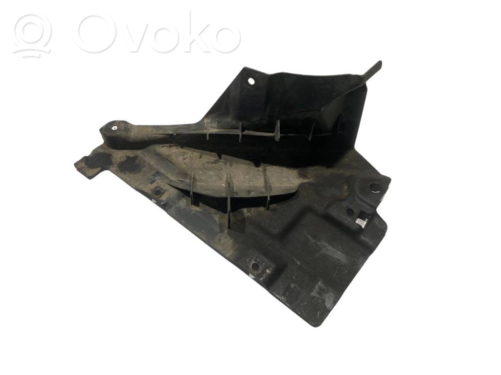 Under engine guard (front)
