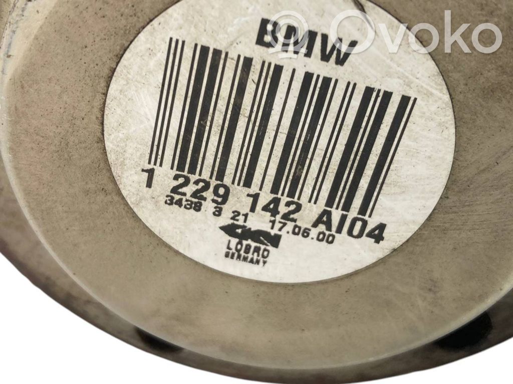 Aizmugurējā pusass