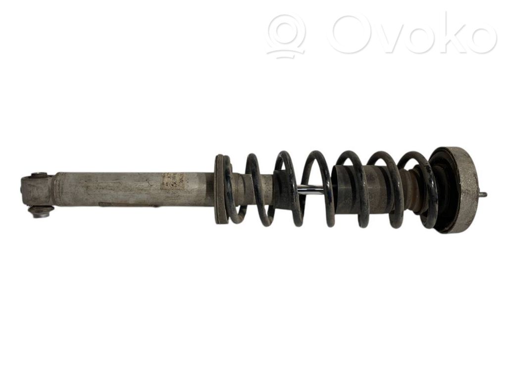 Rear shock absorber with spring