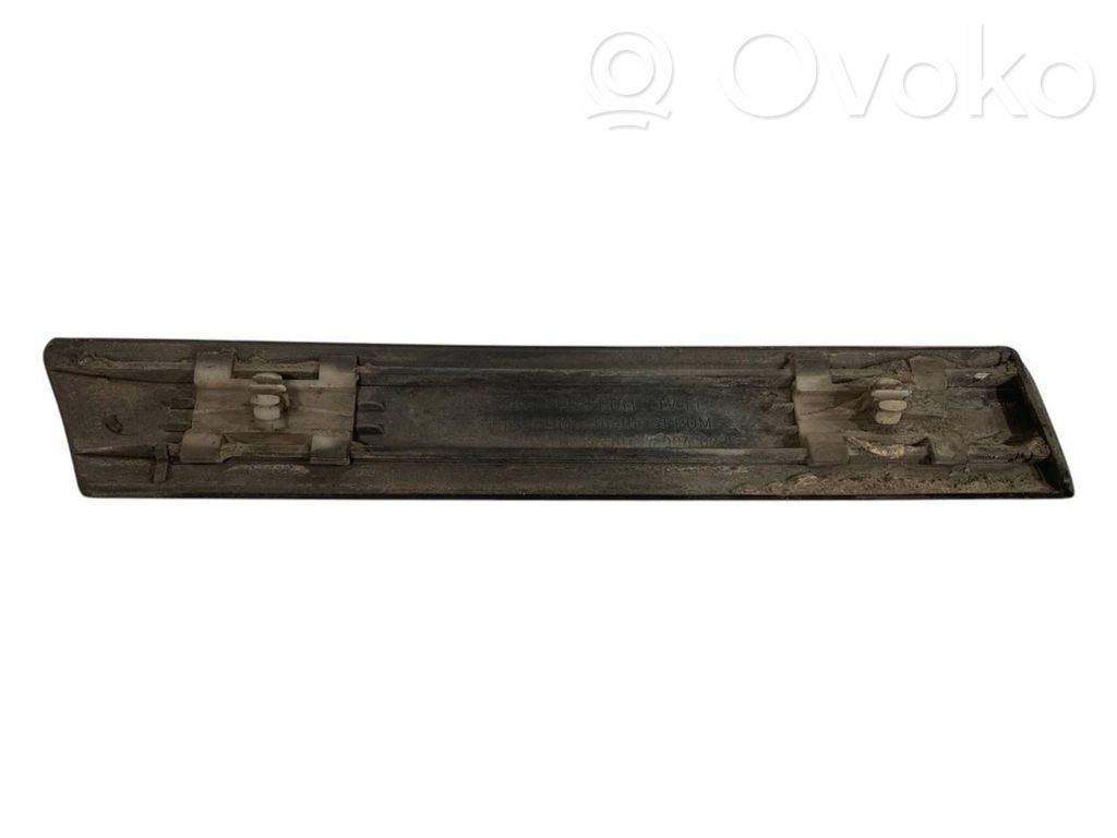 Fender decorative trim (molding)