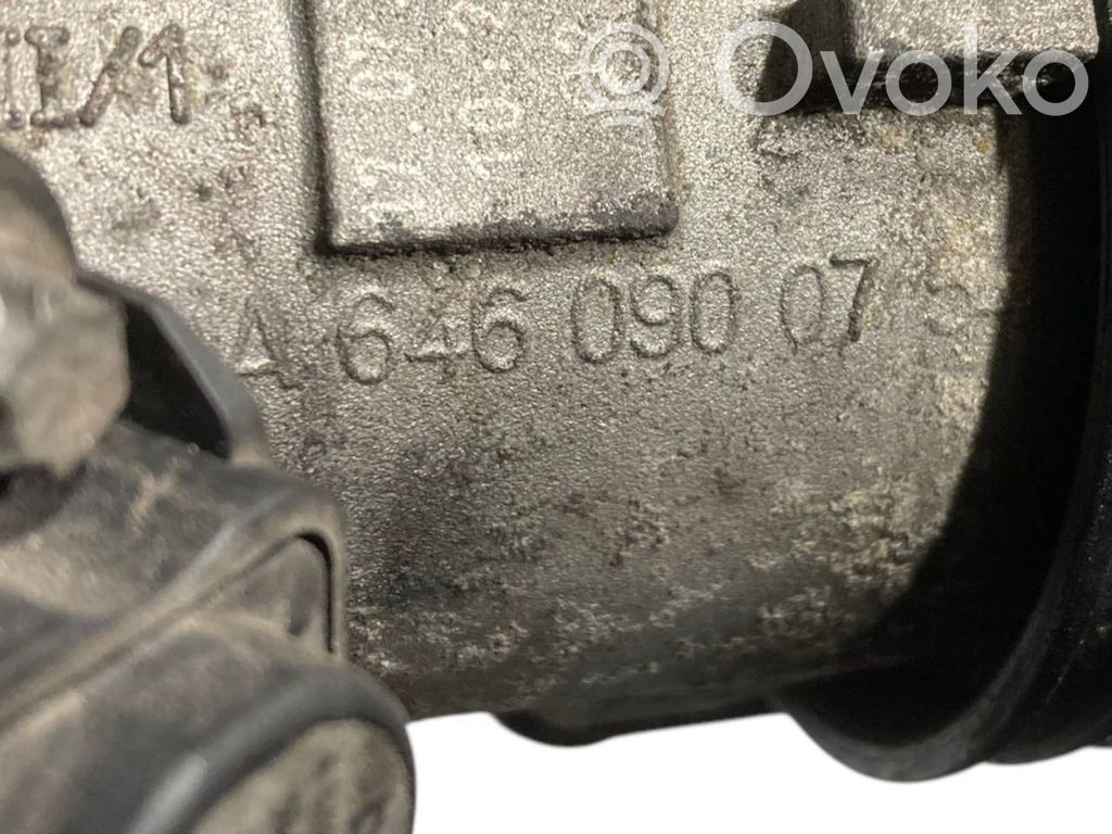 Caurulīte (-es) / šļūtene (-es)