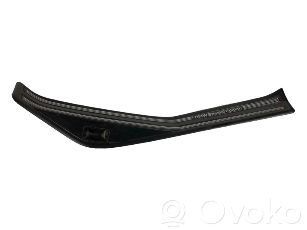 Rear door sill trim (inner)