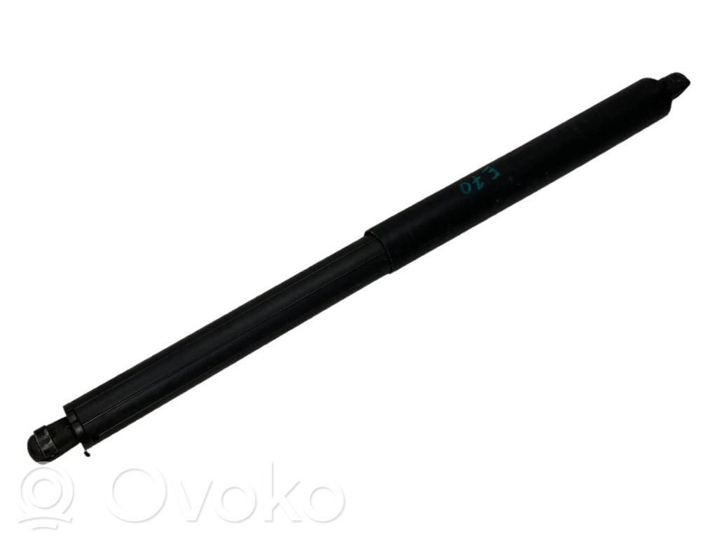 Trunk damper
