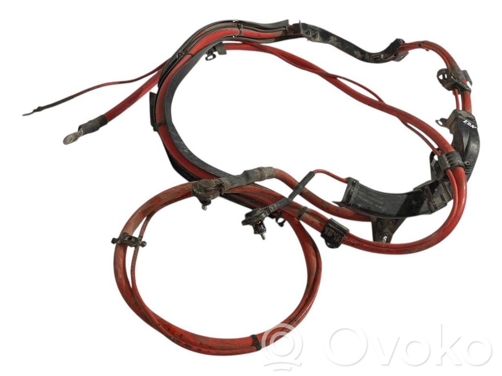 Plusa vads (akumulatora)