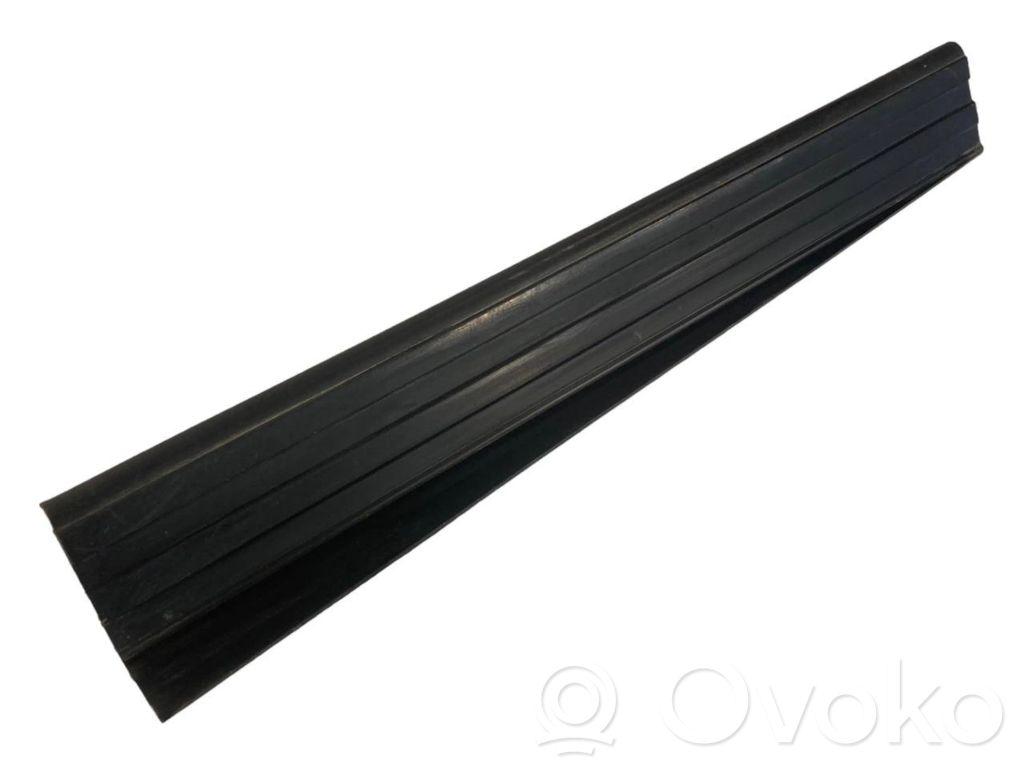 Rear door sill trim (external)