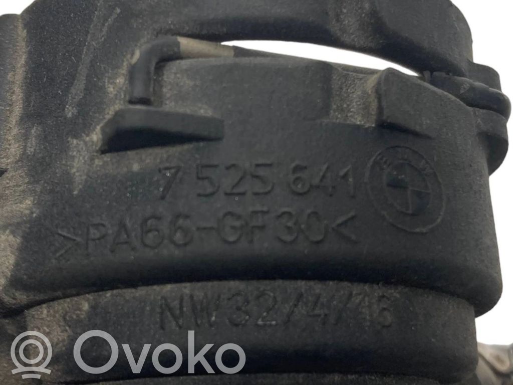 Caurulīte (-es) / šļūtene (-es)