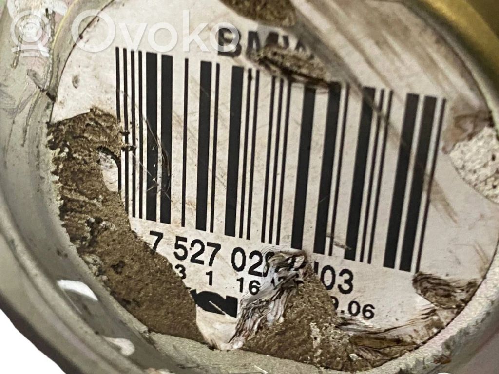 Aizmugurējā pusass