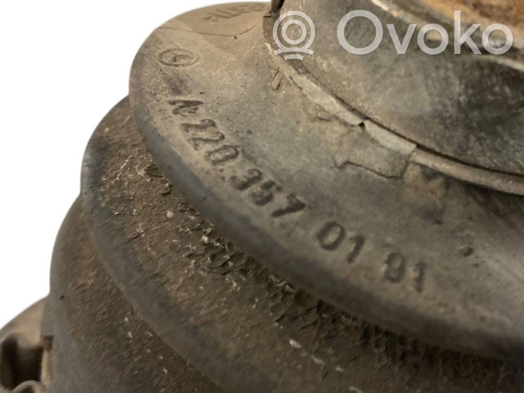 Aizmugurējā pusass