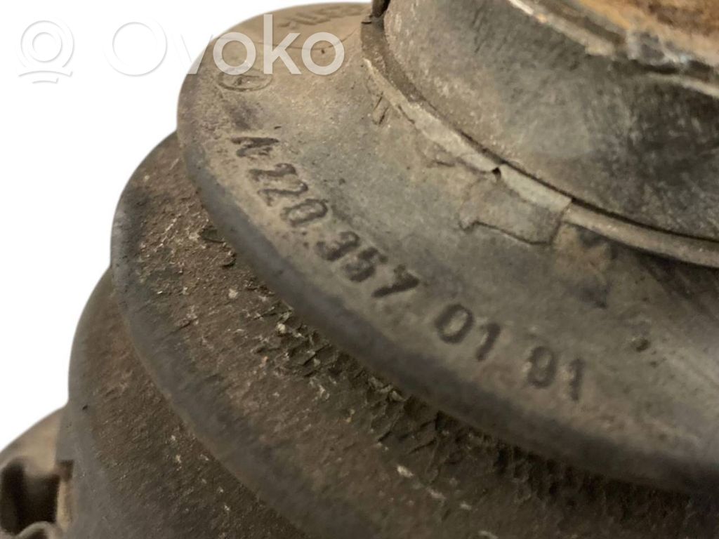 Aizmugurējā pusass