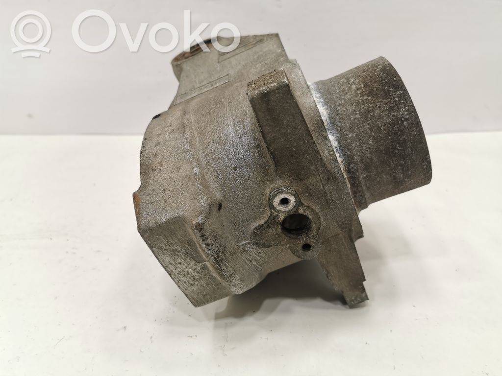 Rear wheel hub shaft joint (stupica, capfa)