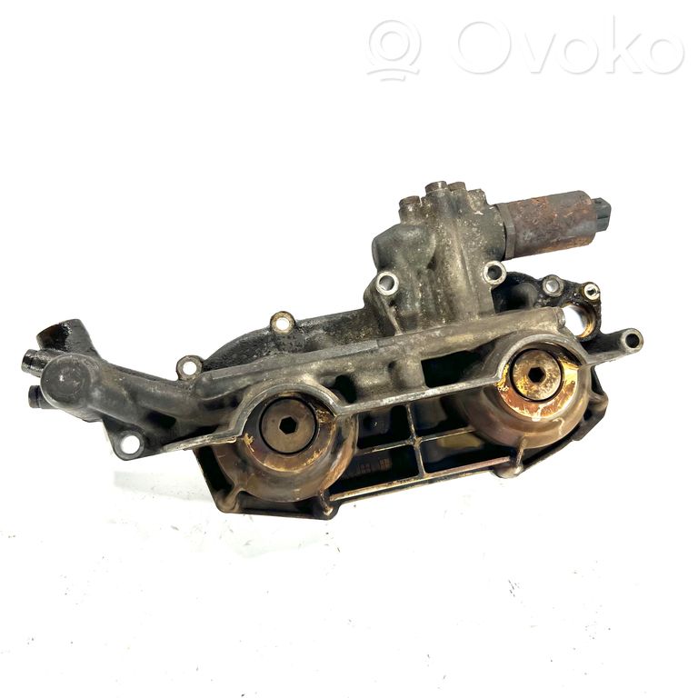 Sadales vārpstas skriemelis / "Vanos"