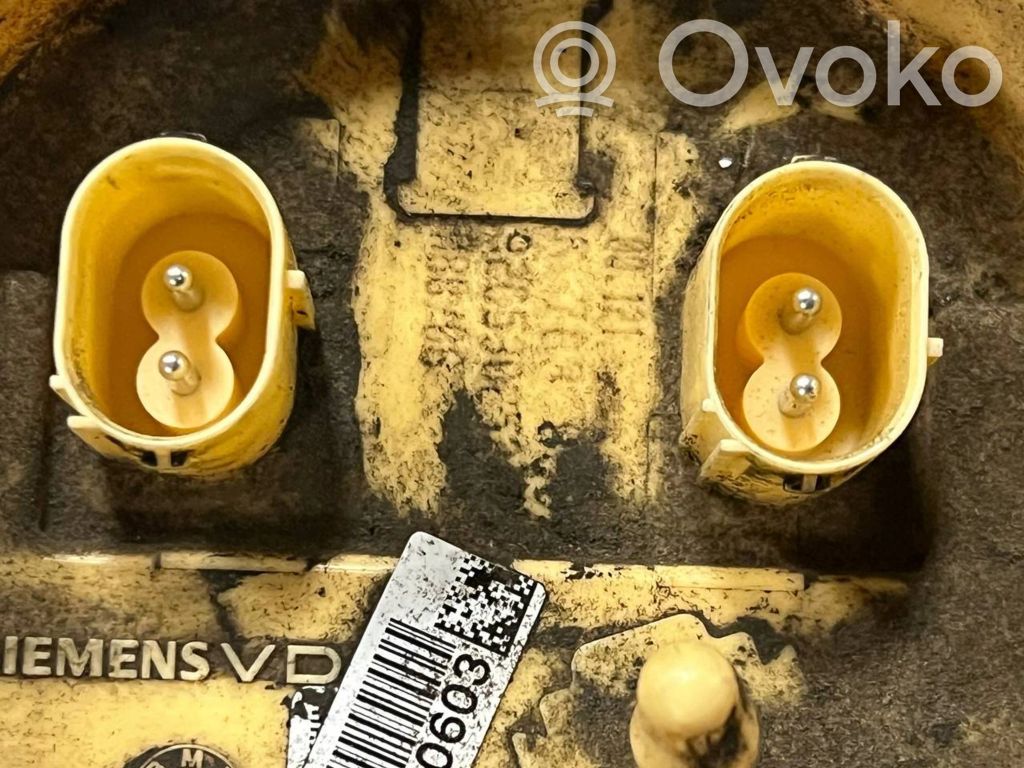 Fuel pump (in the fuel tank)