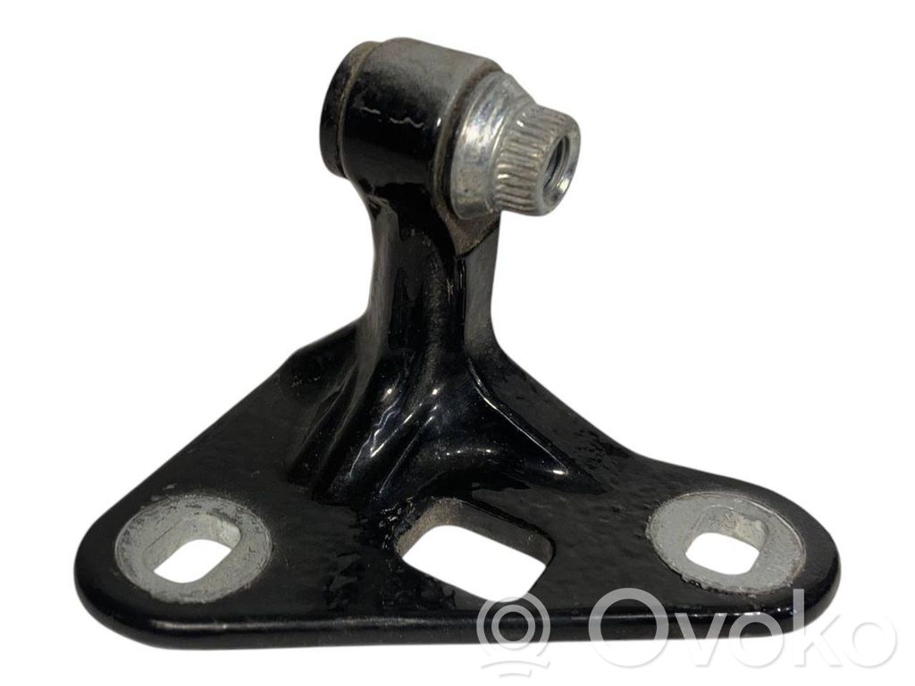 Front lower hinge
