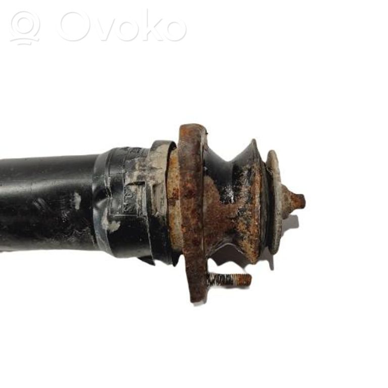 Rear shock absorber