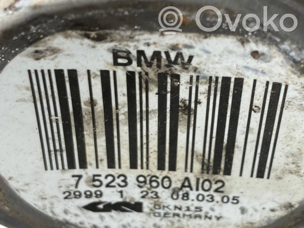 Aizmugurējā pusass