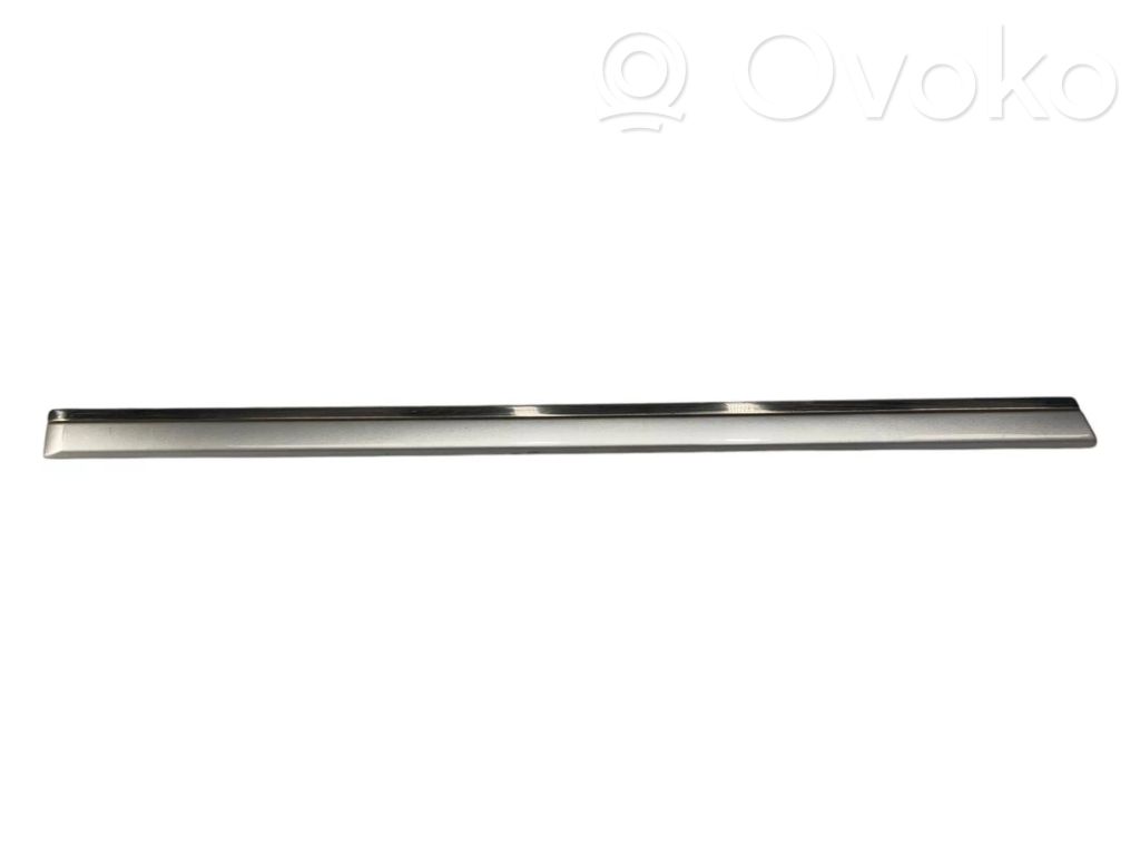 Rear door decorative trim (moulding)