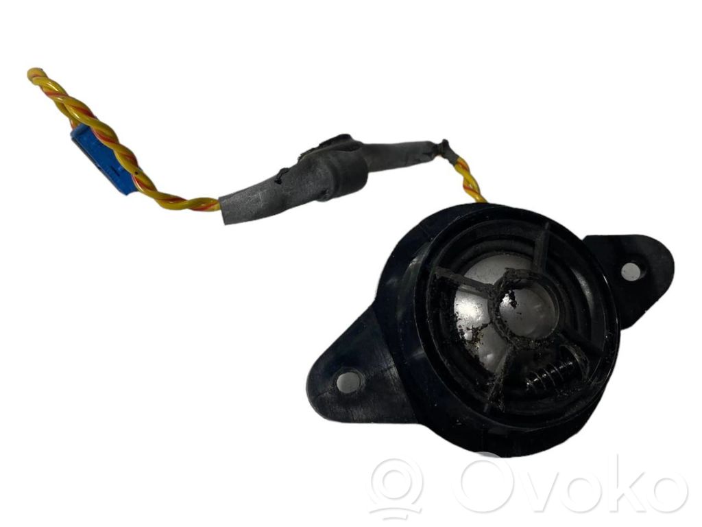 Speaker(s) in the rear door