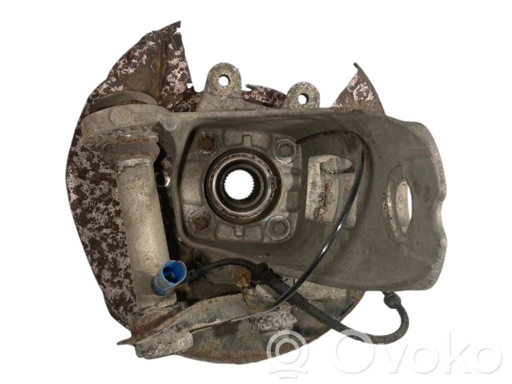Rear wheel hub shaft joint (stupica, capfa)