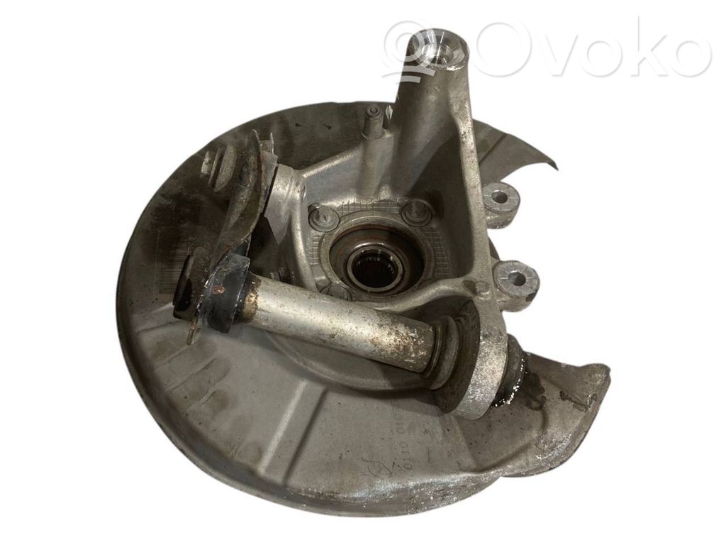 Rear wheel hub shaft joint (stupica, capfa)