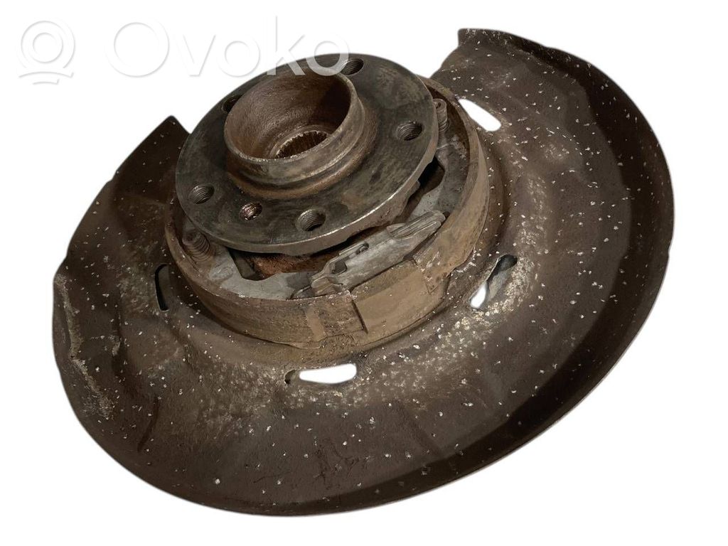 Rear wheel hub shaft joint (stupica, capfa)