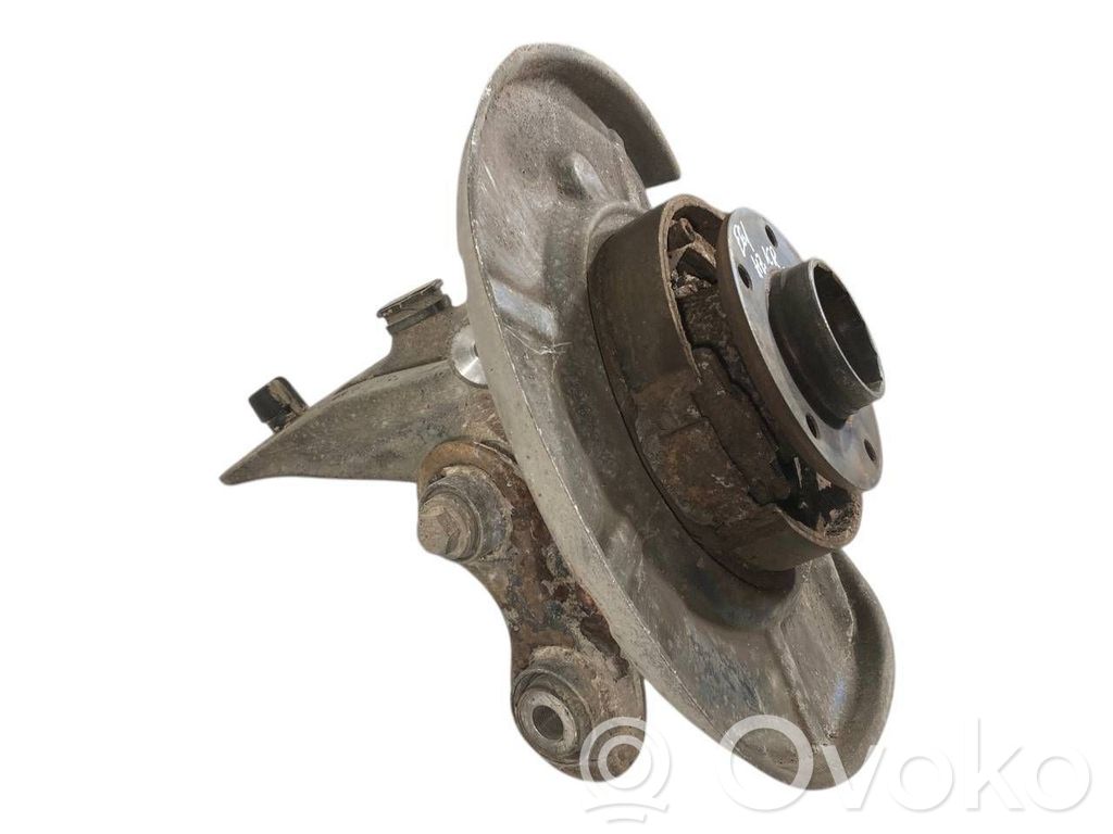 Rear wheel hub shaft joint (stupica, capfa)