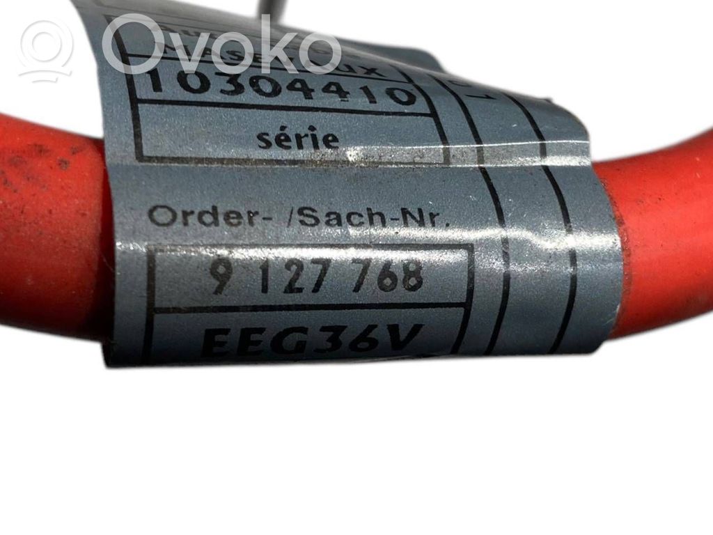 Plusa vads (akumulatora)