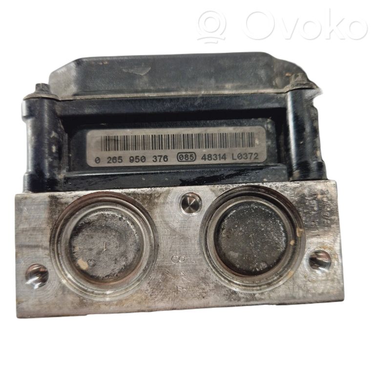 ABS unit