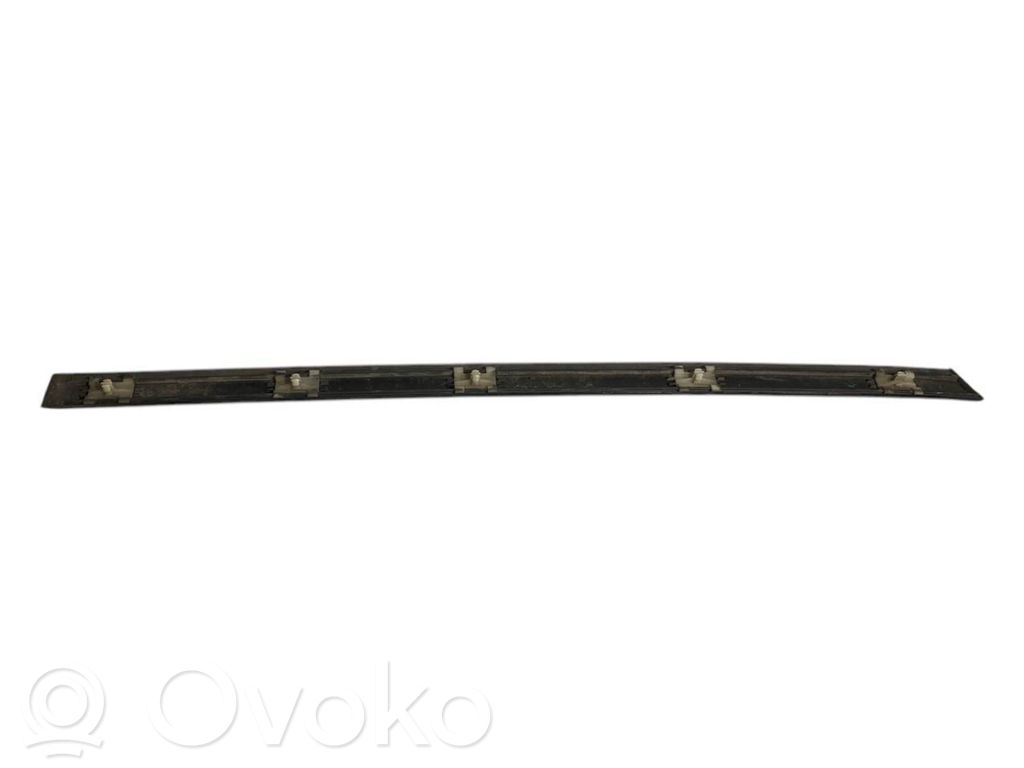 Rear door decorative trim (moulding)