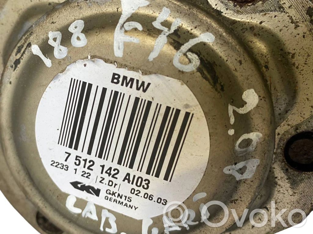 Aizmugurējā pusass