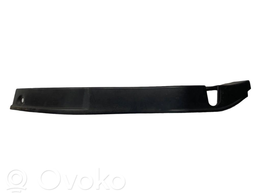 Rear door decorative trim (moulding)