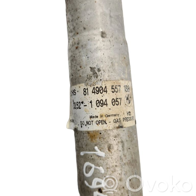 Rear shock absorber
