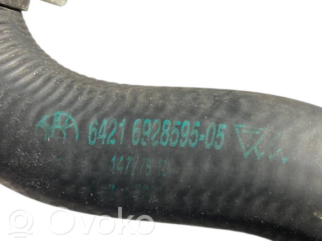 Caurulīte (-es) / šļūtene (-es)