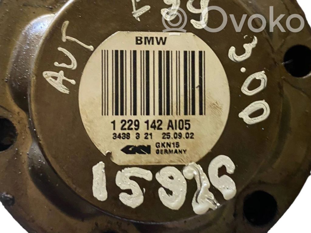 Aizmugurējā pusass