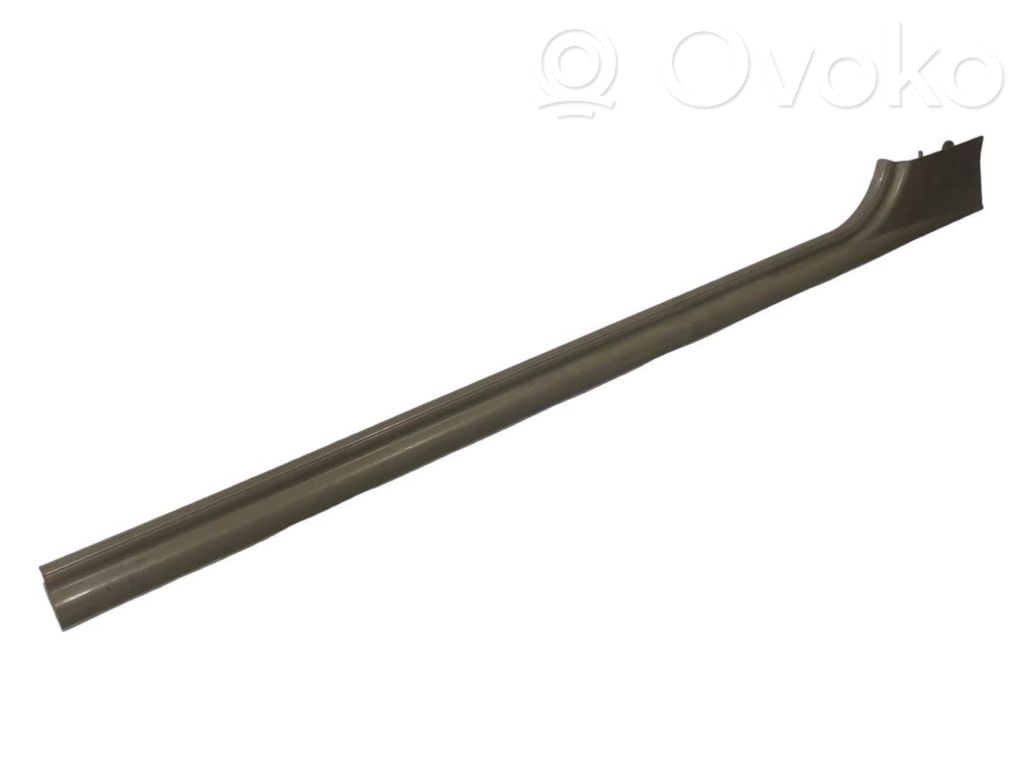 Front sill trim (inner)