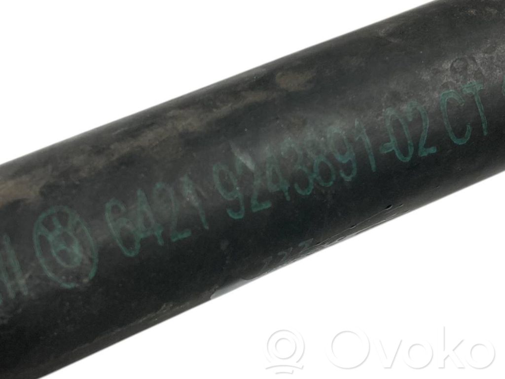 Caurulīte (-es) / šļūtene (-es)