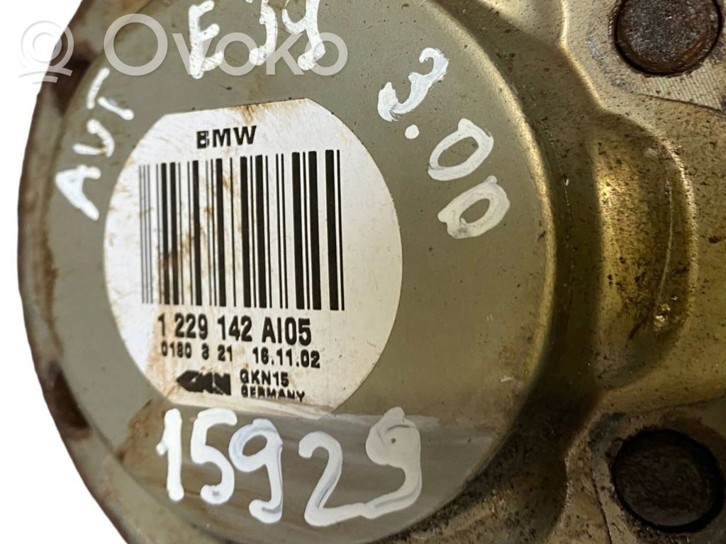 Aizmugurējā pusass