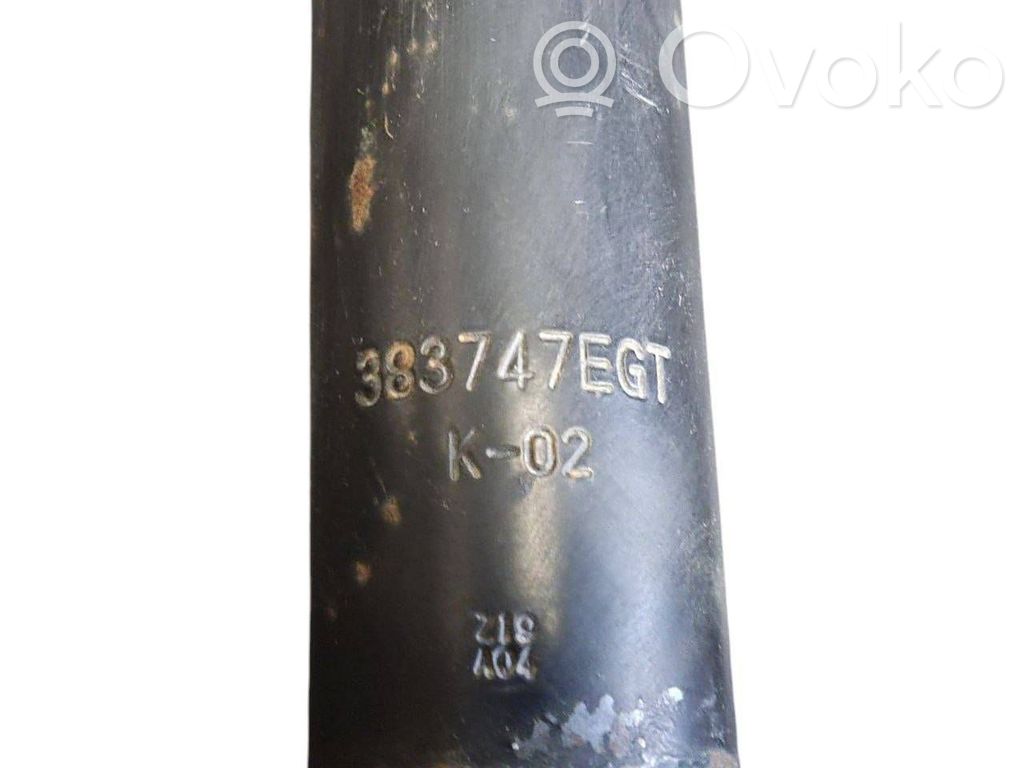 Rear shock absorber with spring