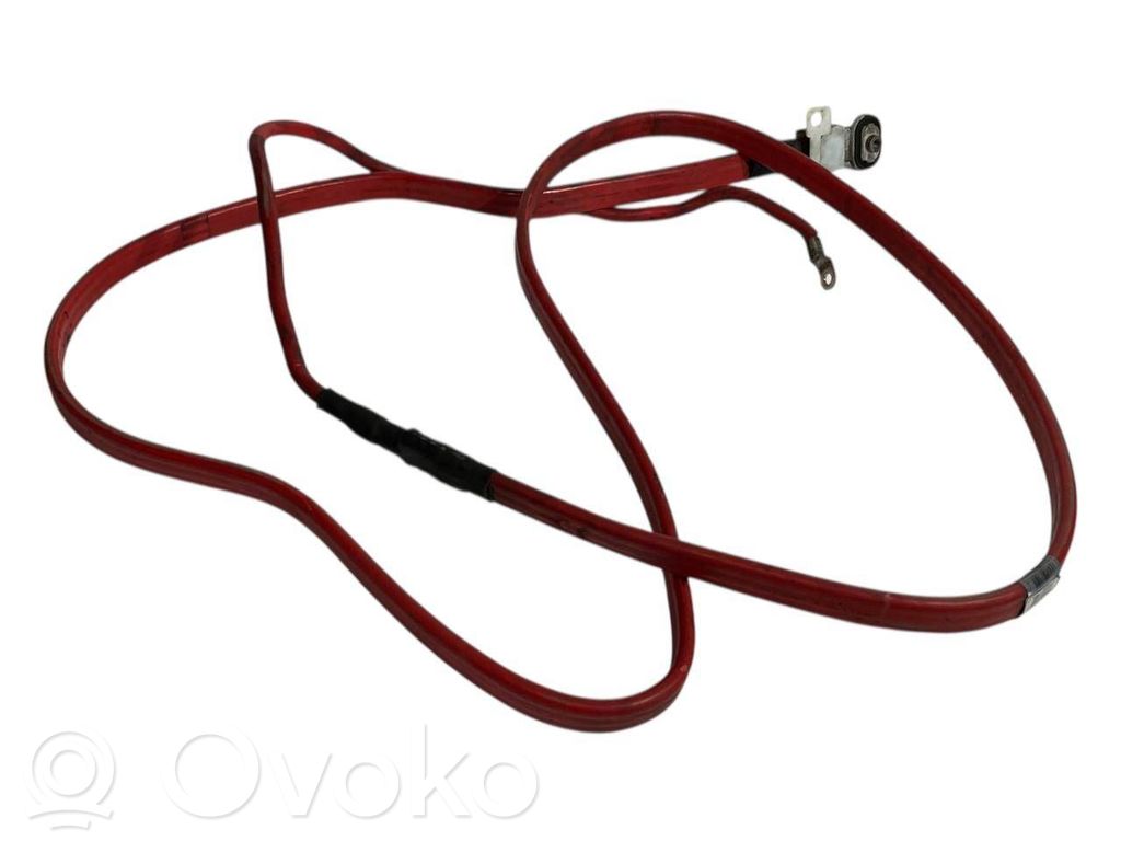 Plusa vads (akumulatora)