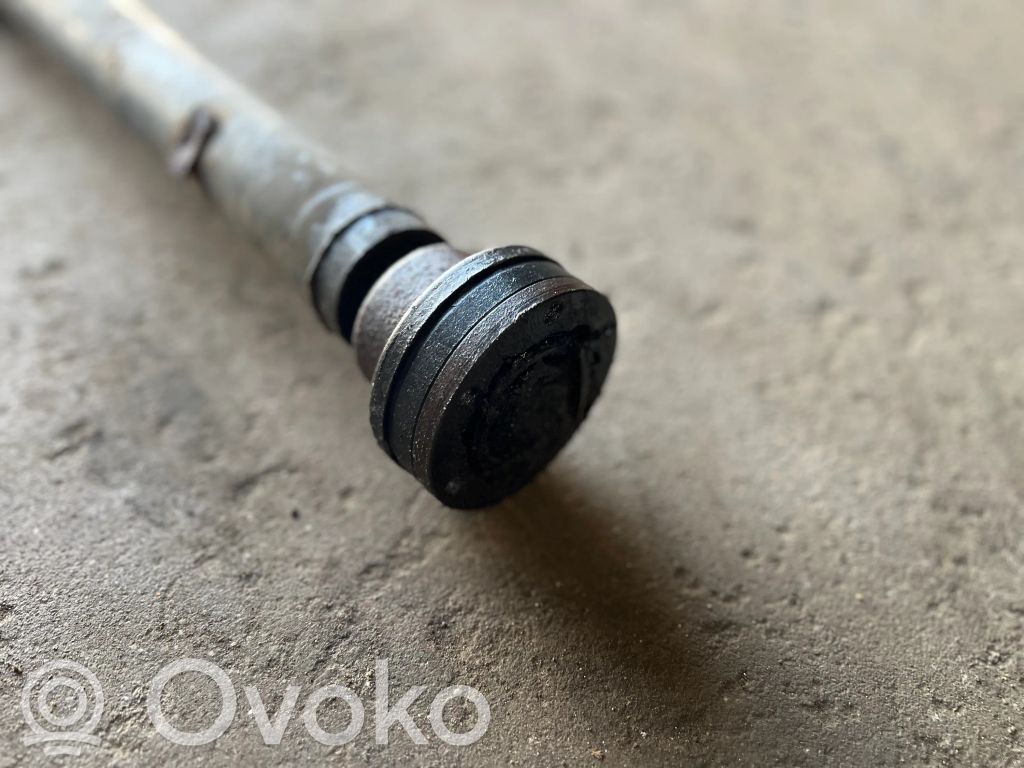 Rear cardan shaft