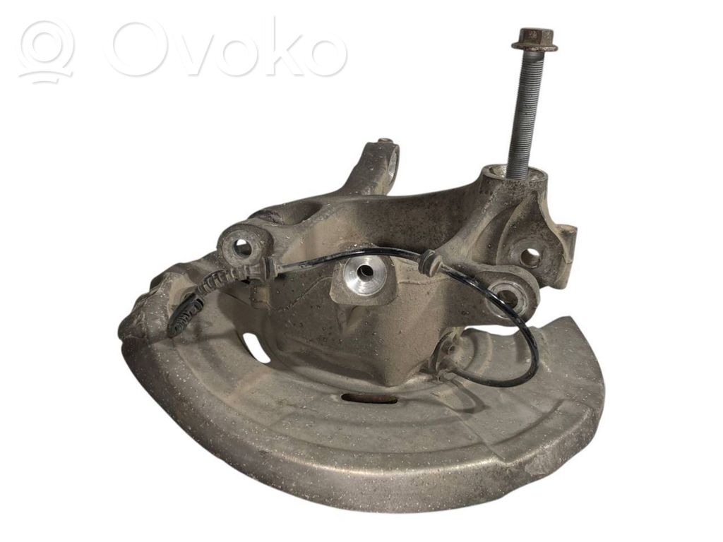 Rear wheel hub shaft joint (stupica, capfa)