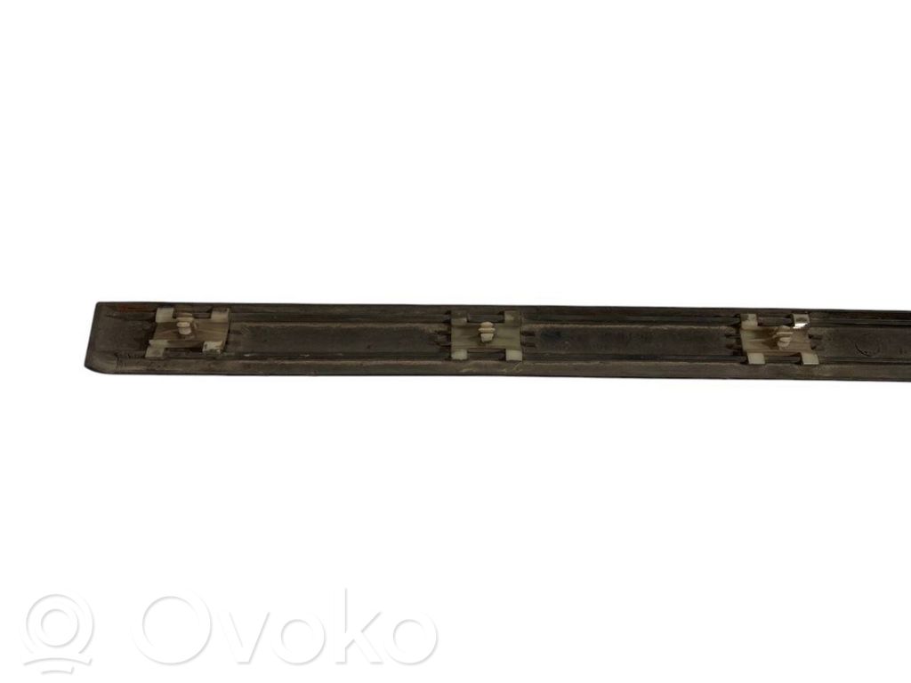 Aizmugurē durvju dekoratīvā apdare (moldings)