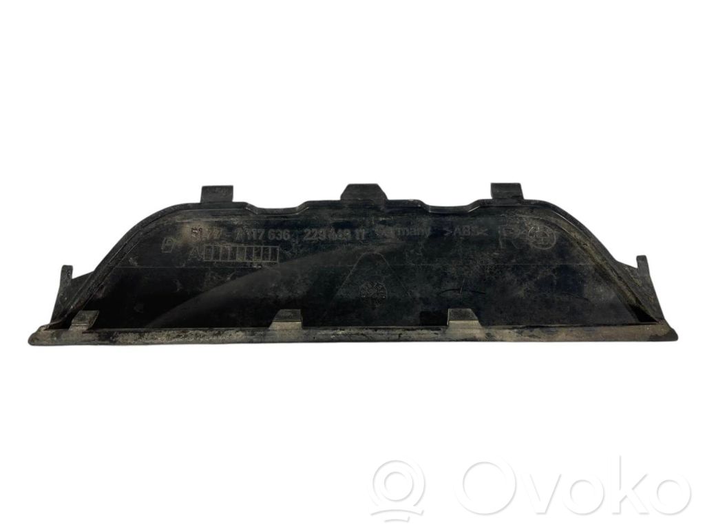Rear door sill trim (inner)