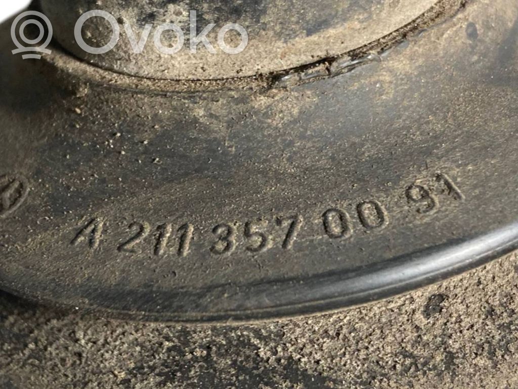 Aizmugurējā pusass