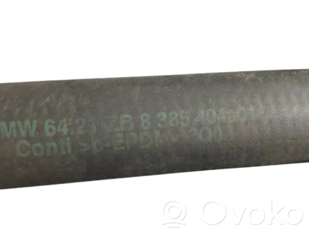 Caurulīte (-es) / šļūtene (-es)