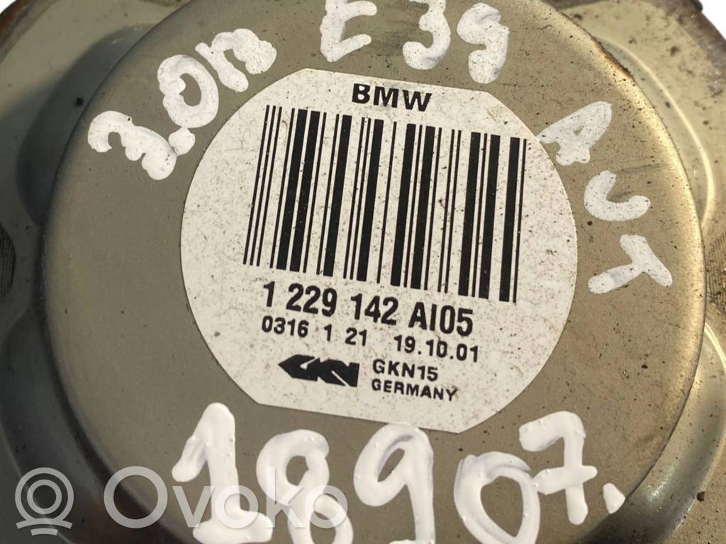 Aizmugurējā pusass