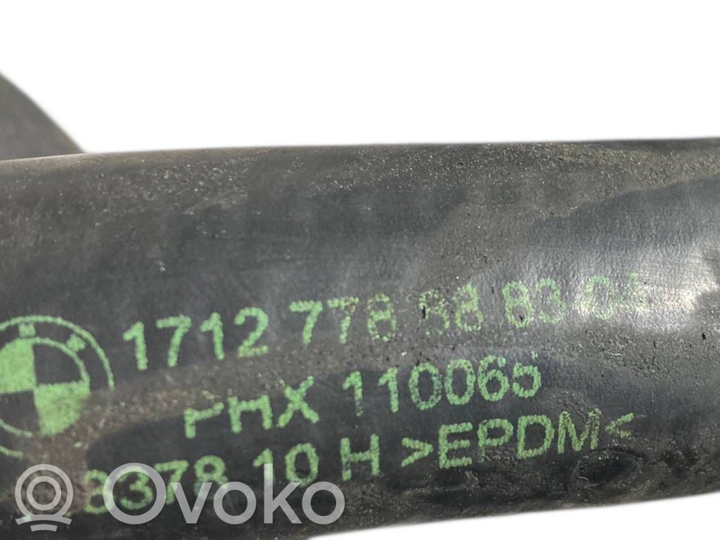 Caurulīte (-es) / šļūtene (-es)