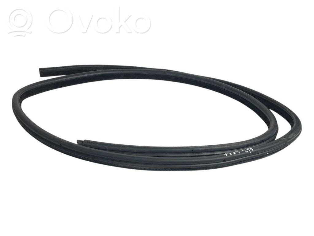 Rear trim rubber (in the body)