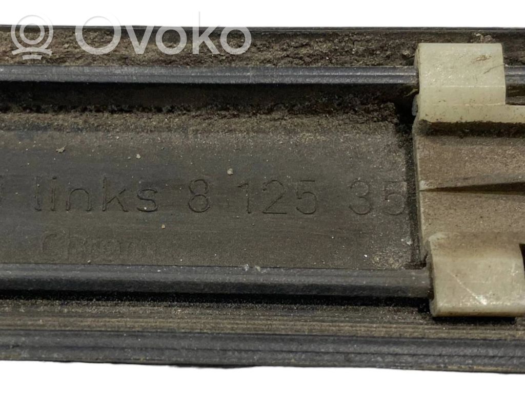Rear door decorative trim (moulding)